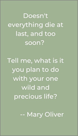 Mary Oliver quote wild and precious life