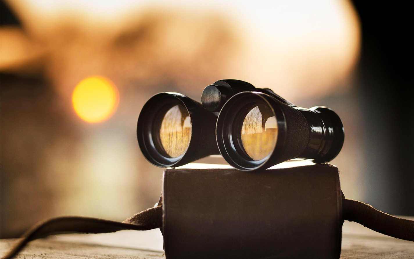 coaching for the multipotentialite entrepreneur