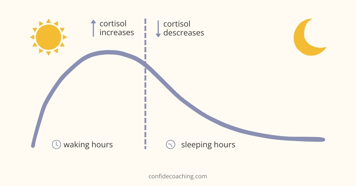 cortisol production during the day graph