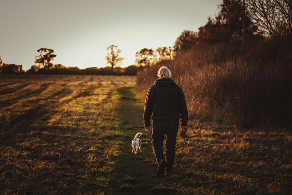 a person walking with a dog at sunset as apart of evening routine