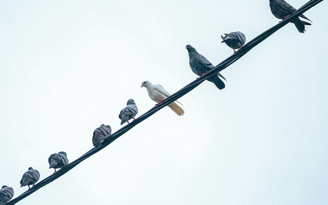 Is Social Comparison Always Bad? It Depends on What You Do Next