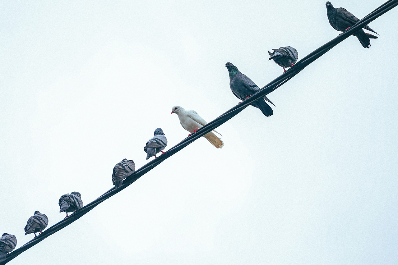 is-social-comparison-always-bad is social comparison always bad