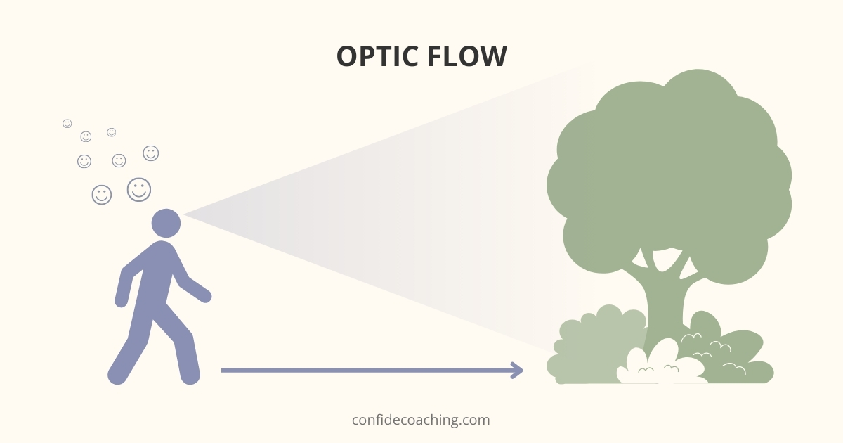 optic flow concept