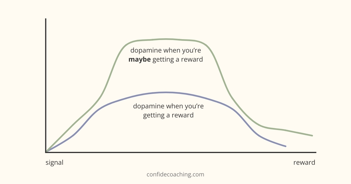 chart showing dopamine levels when a person getting a reward vs maybe getting a reward