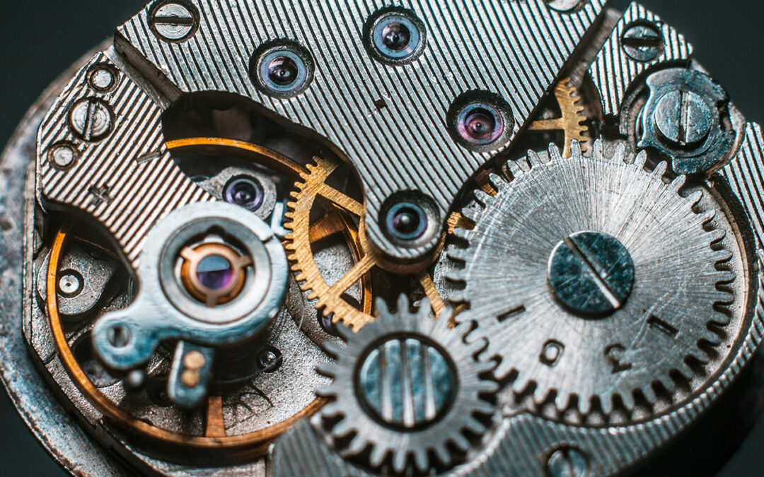 What Is the BOSI Framework? How Entrepreneurial DNA Shapes Teams