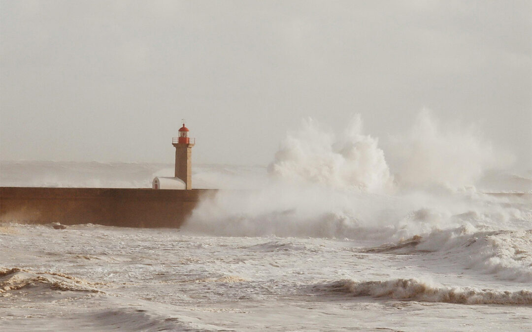 The War Within: Why Change Feels Harder Than It Should