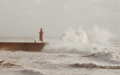 The War Within: Why Change Feels Harder Than It Should